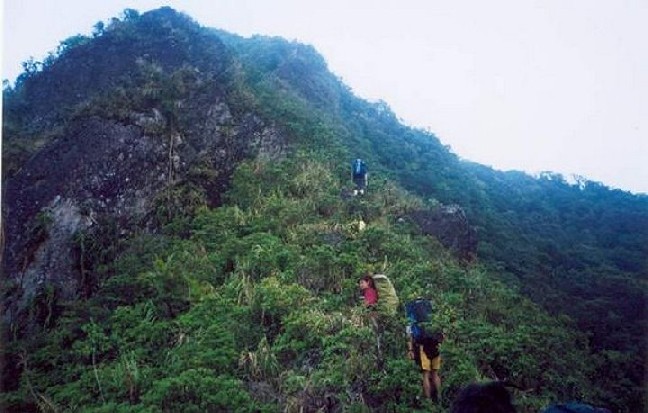 Mt. Makiling
