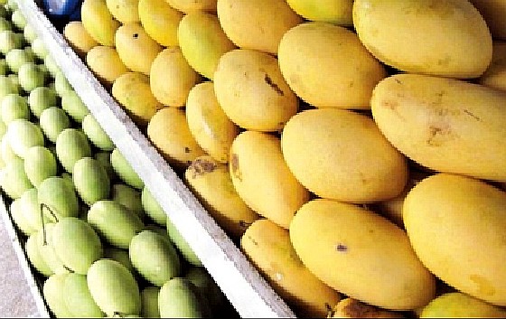 Mango Exports
